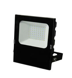 l'illuminazione all'aperto commerciale di 10/20W LED ha condotto il CA 220V della lampada con riflettore o la CC 10-24V