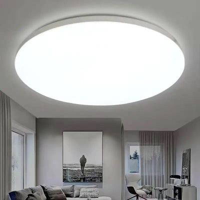 Lighting LED Waterproof, Moisture-Proof, Mosquito-Proof, Three-Proof Ceiling Lamp For Bathroom, Balcony, Kitchen